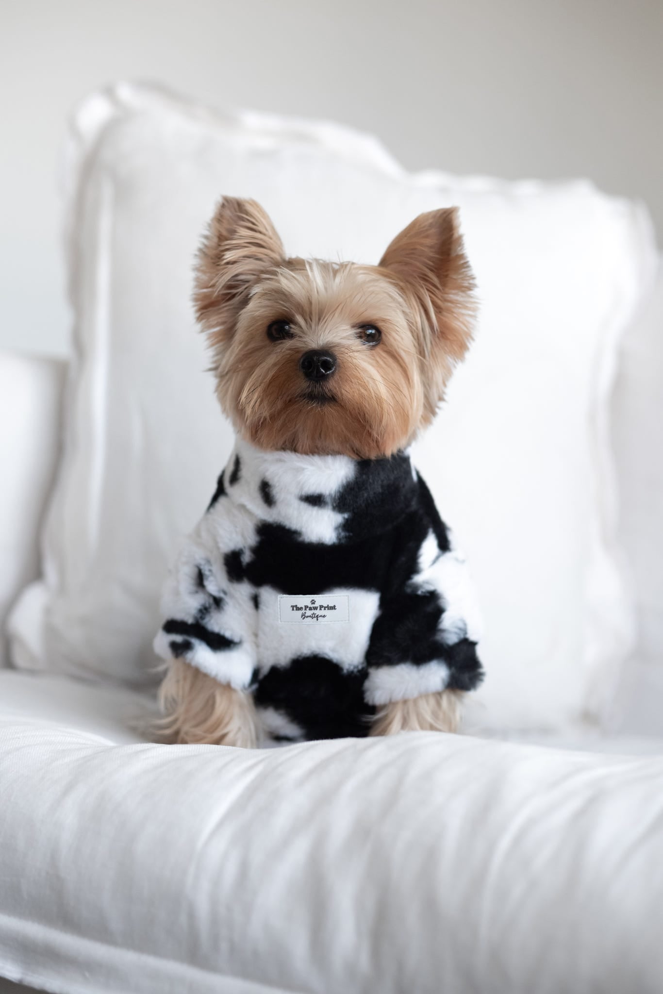 The Cow Print Fluffy & Fabulous Fleece