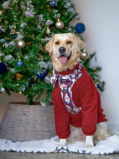 The Rockin' Robins Adventure Paws Harness