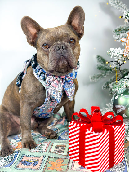 The Santas Stamps Adventure Paws Harness