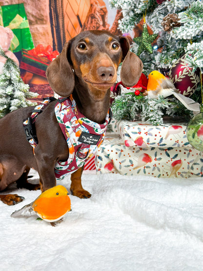 The Rockin' Robins Adjustable Harness