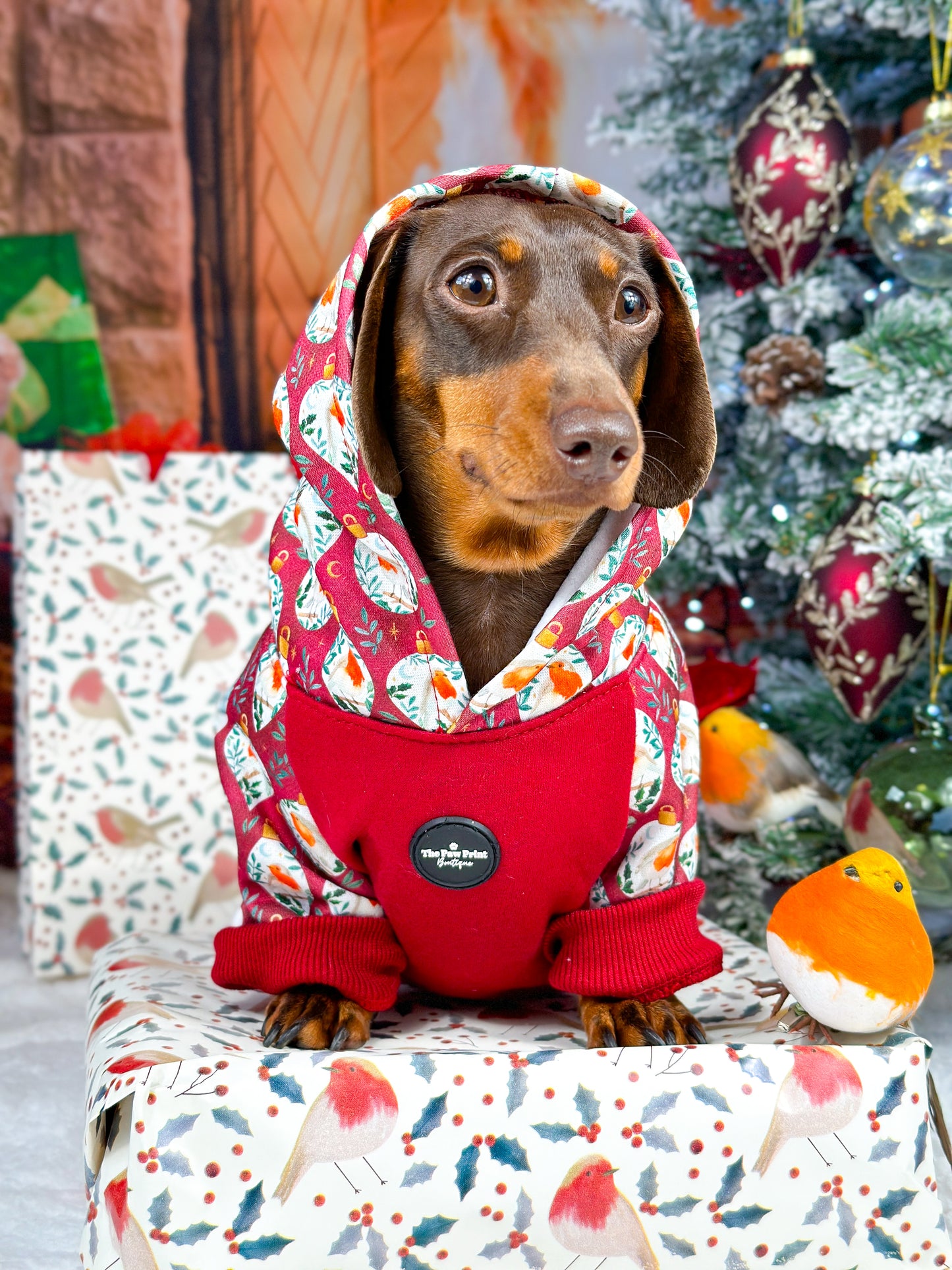 The Rockin' Robin Dog Hoodie