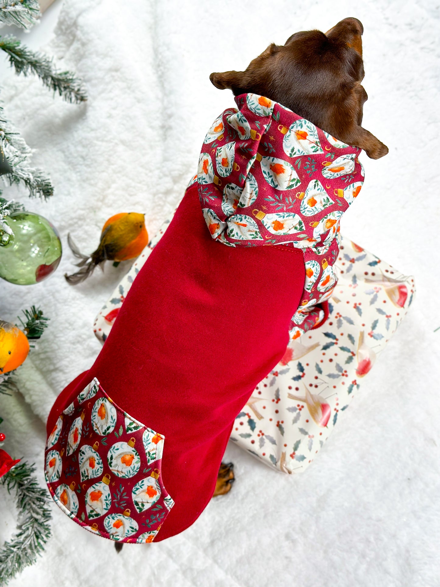 The Rockin' Robin Dog Hoodie