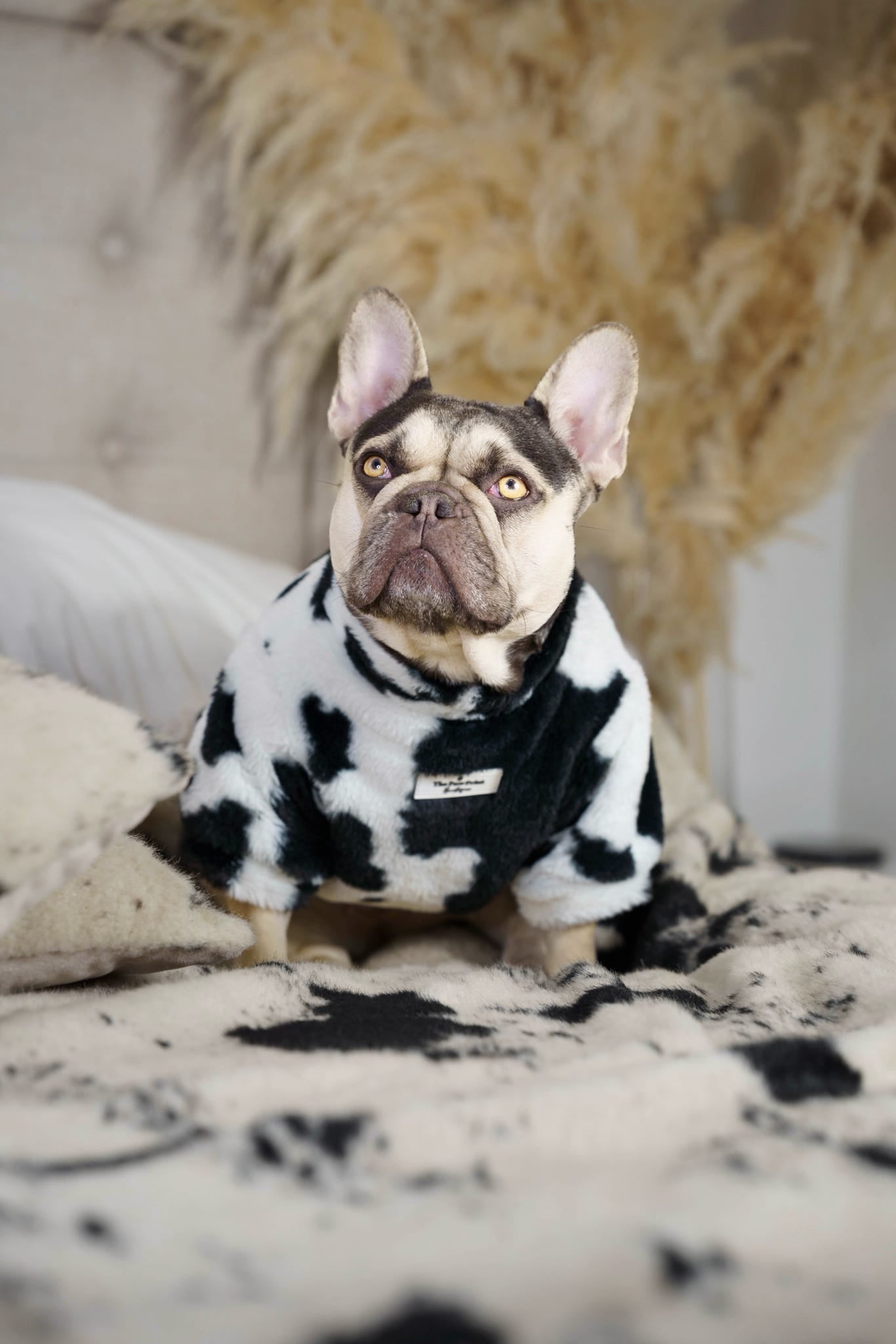 The Cow Print Fluffy & Fabulous Fleece