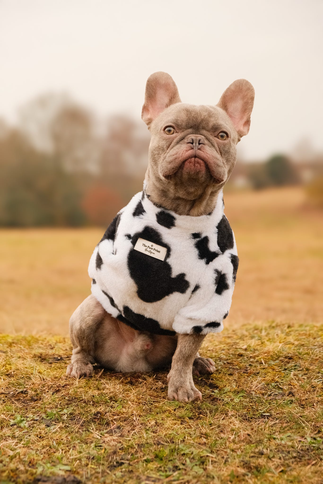 The Cow Print Fluffy & Fabulous Fleece