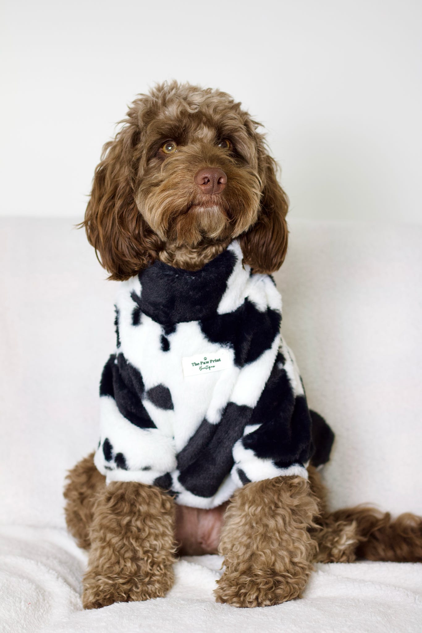 The Cow Print Fluffy & Fabulous Fleece