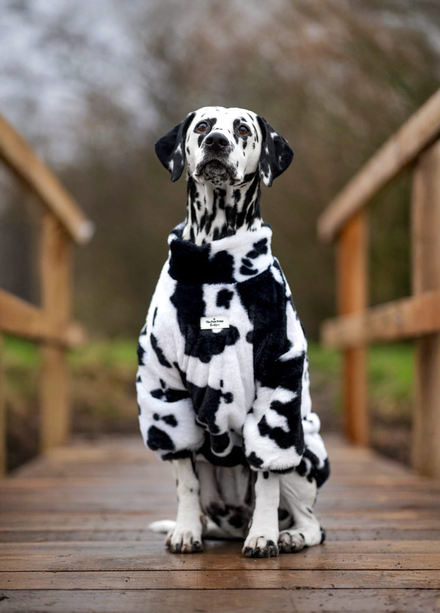The Cow Print Fluffy & Fabulous Fleece