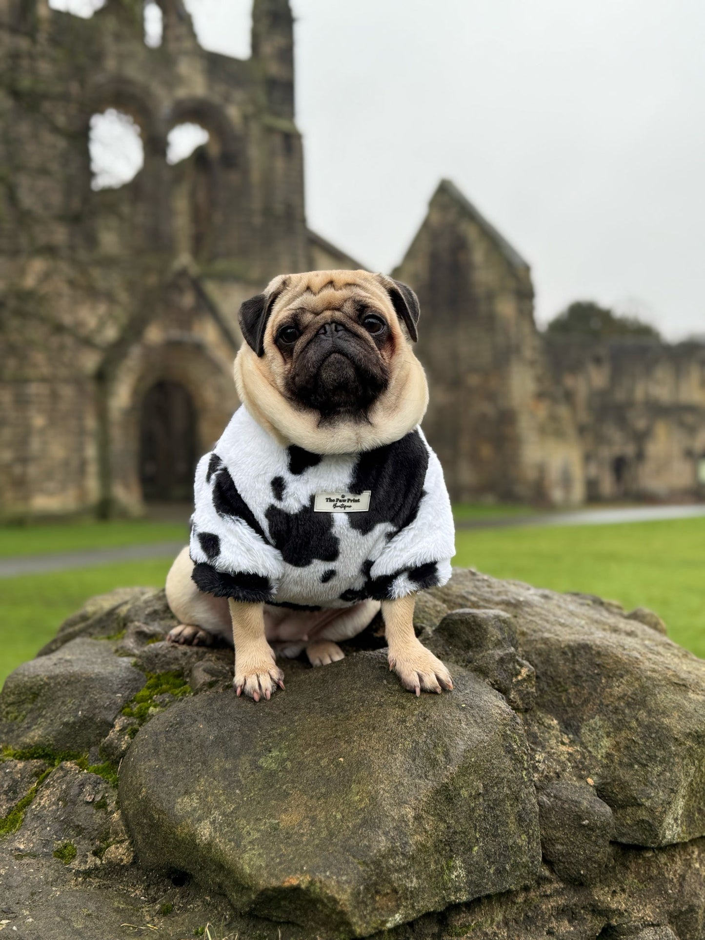 The Cow Print Fluffy & Fabulous Fleece