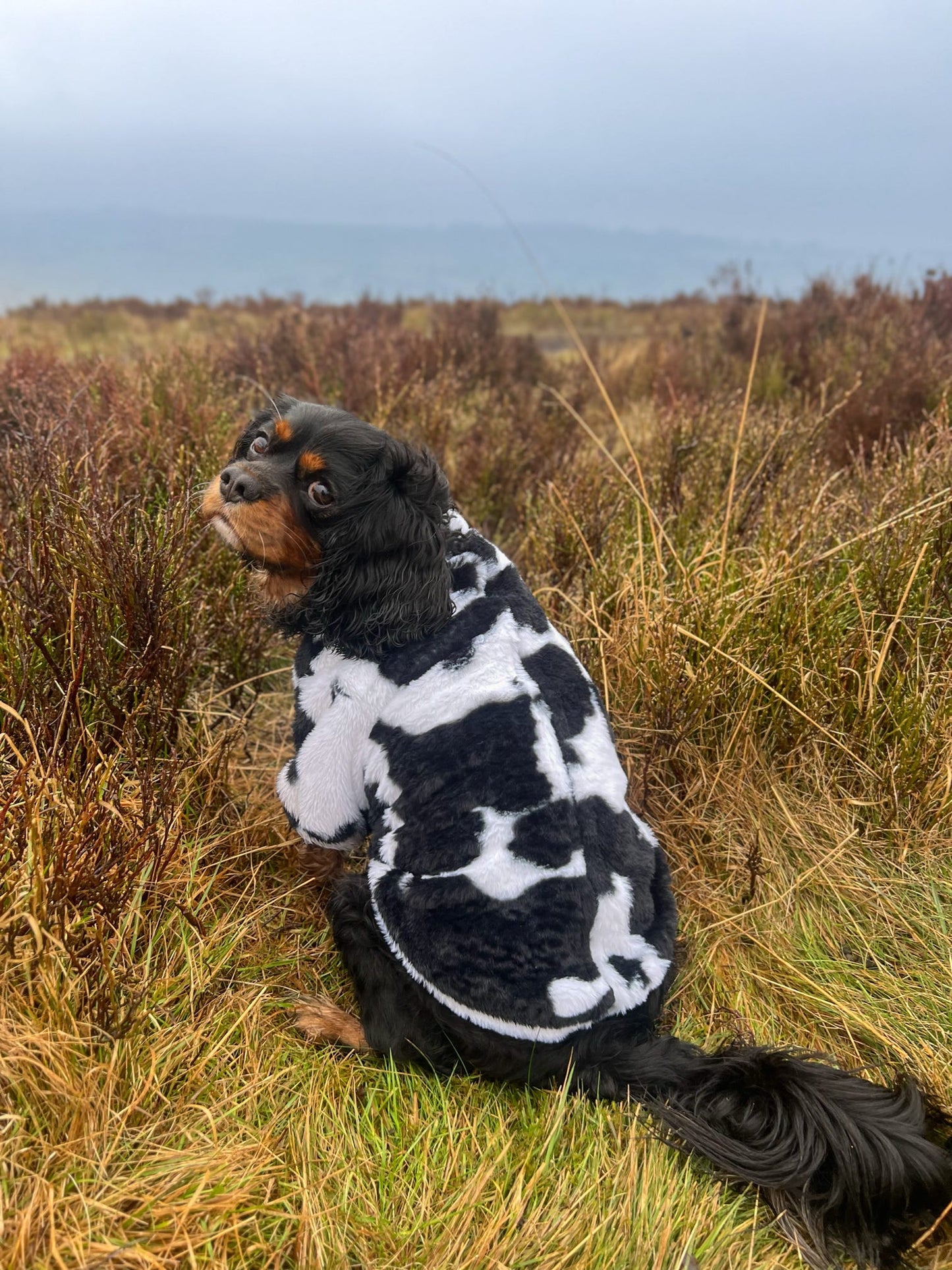 The Cow Print Fluffy & Fabulous Fleece