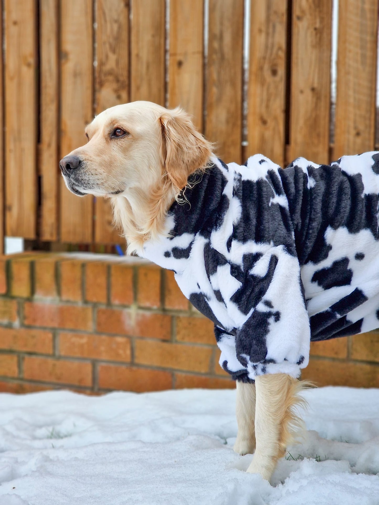 The Cow Print Fluffy & Fabulous Fleece