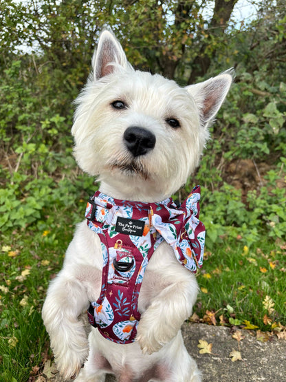 The Rockin' Robins Adventure Paws Harness
