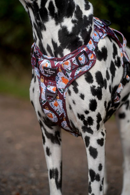 The Rockin' Robins Adventure Paws Harness