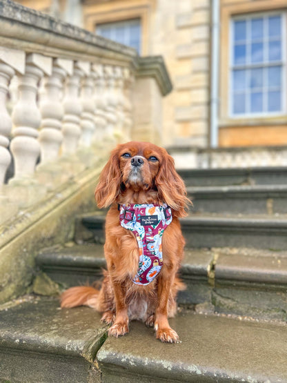 The Rockin' Robins Adventure Paws Harness