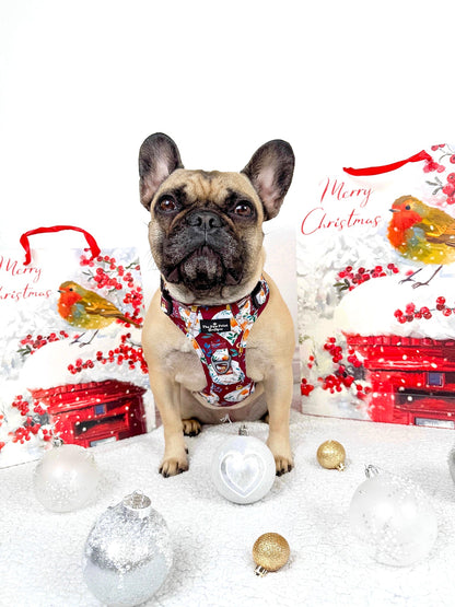 The Rockin' Robins Adventure Paws Harness