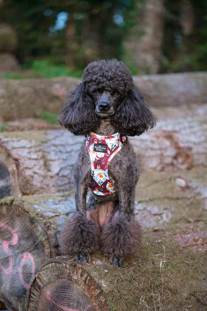 The Rockin' Robins Adjustable Harness