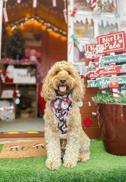 The Rockin' Robins Adventure Paws Harness
