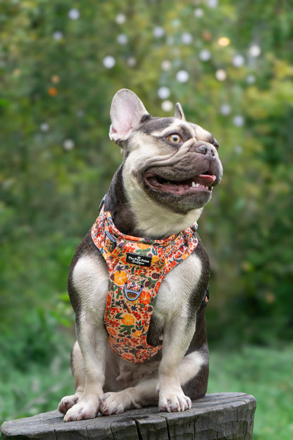 The Winter Scents Adventure Paws Harness
