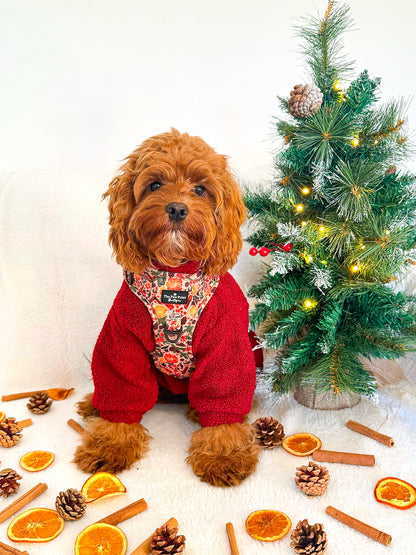 The Winter Scents Adventure Paws Harness