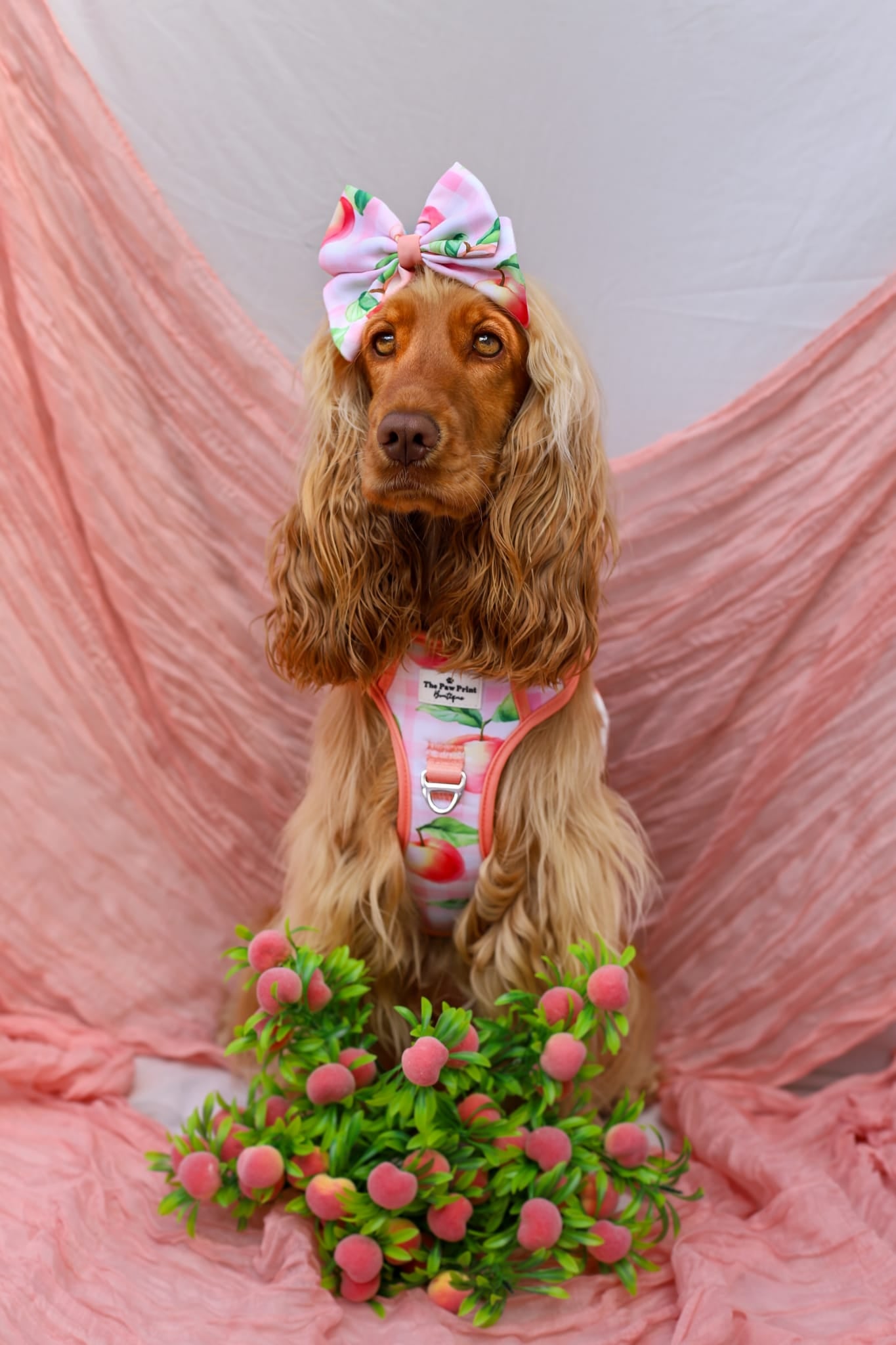 Peach Gingham Adventure Paws Harness