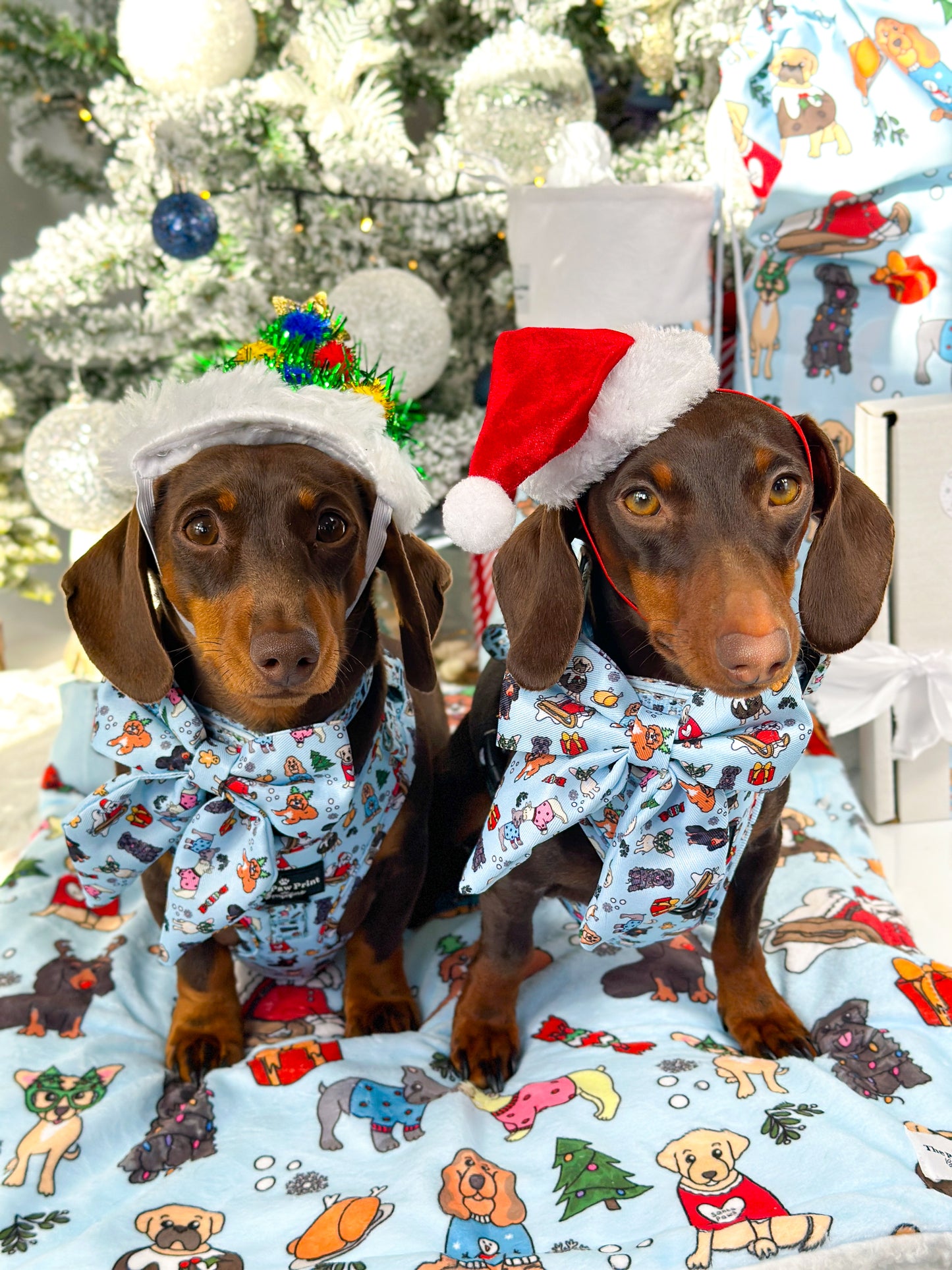 The Santa Paws Bow Tie