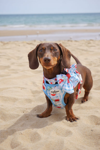 Cherry Gingham Bow Tie