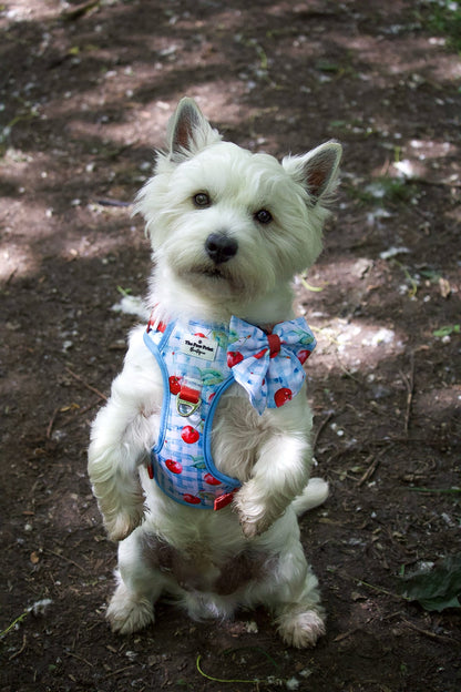 Cherry Gingham Bow Tie