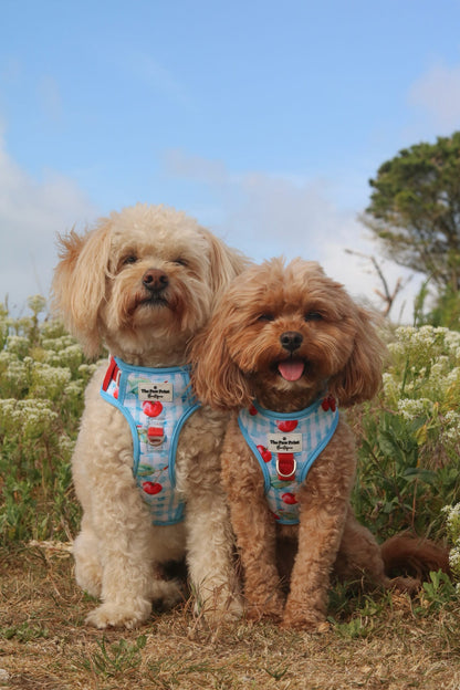 Cherry Gingham Adjustable Harness