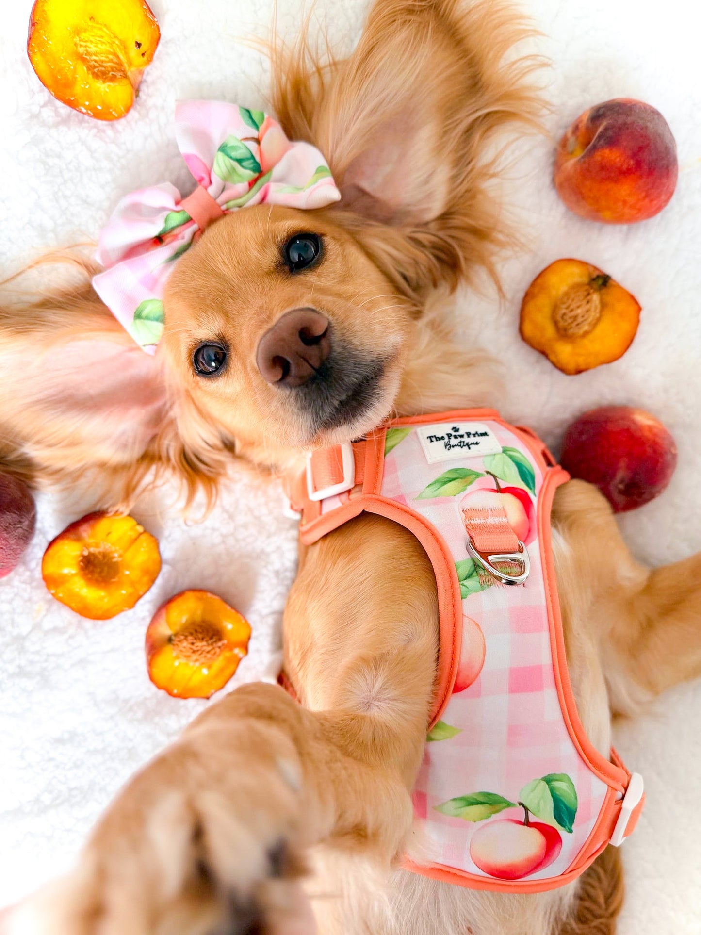 Peach Gingham Adventure Paws Harness