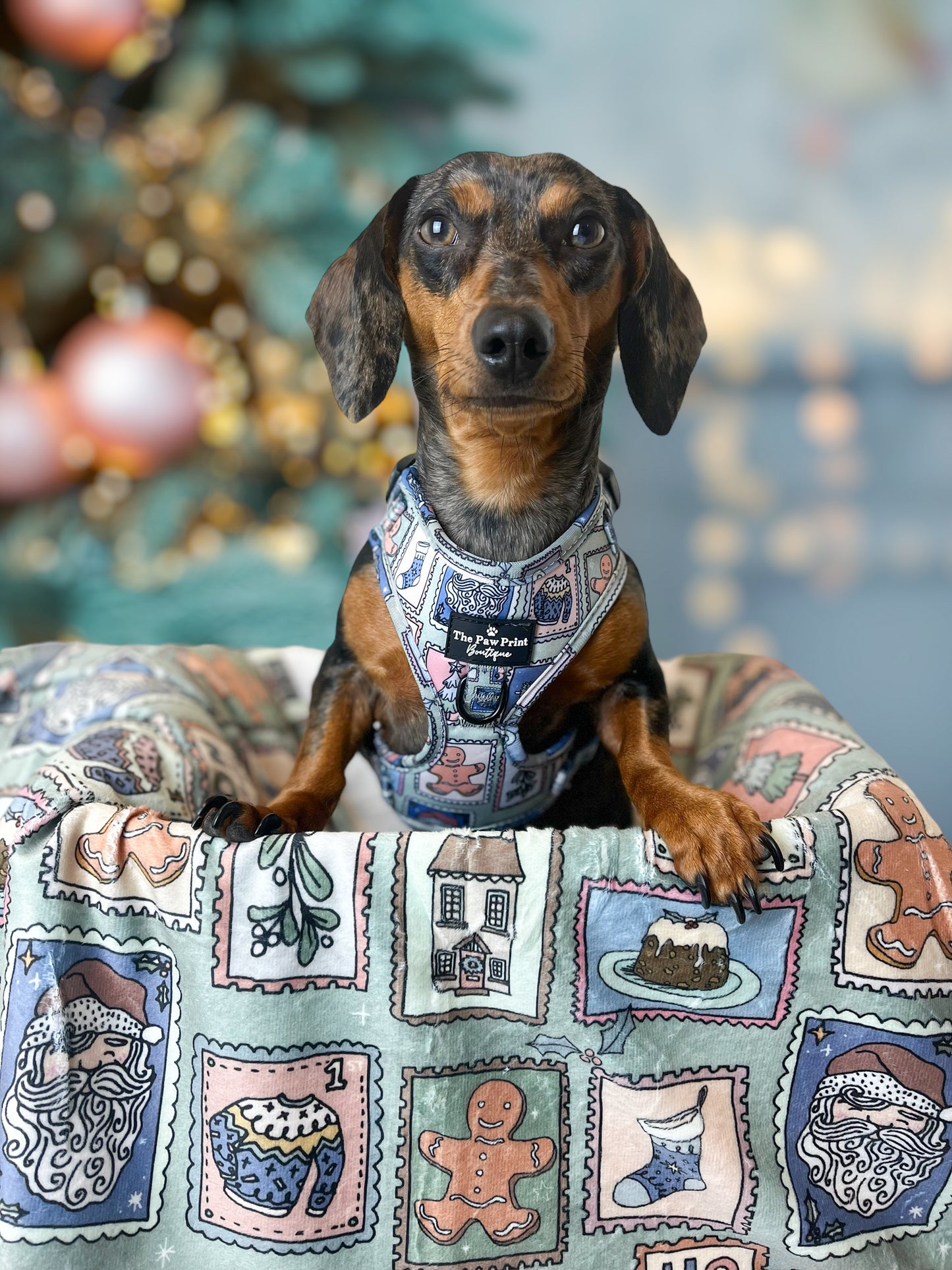 The Santas Stamps Dog Blanket