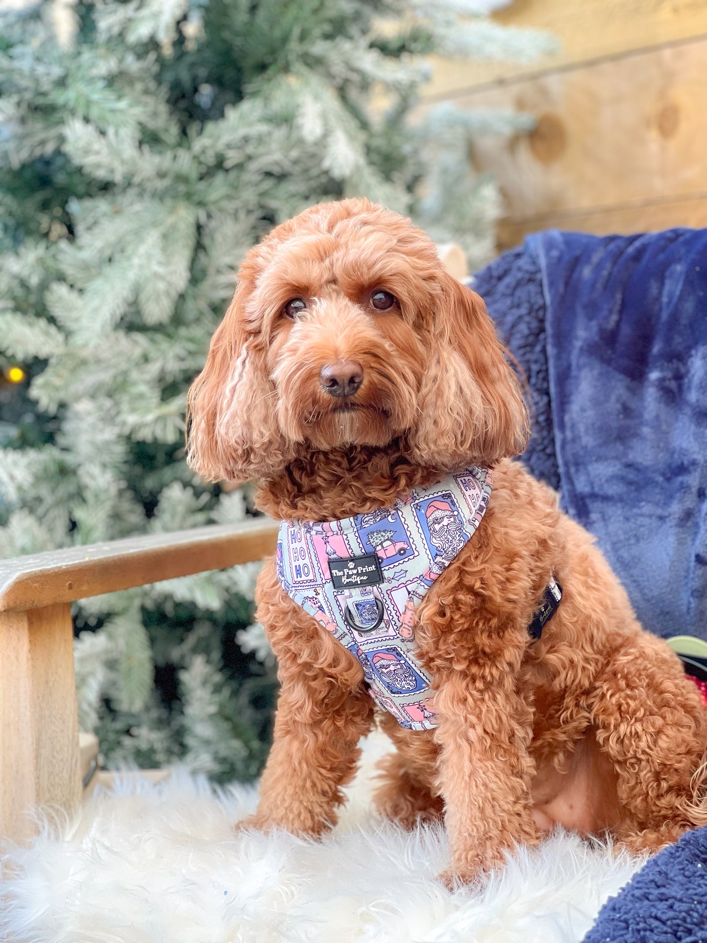 The Santas Stamps Adjustable Harness