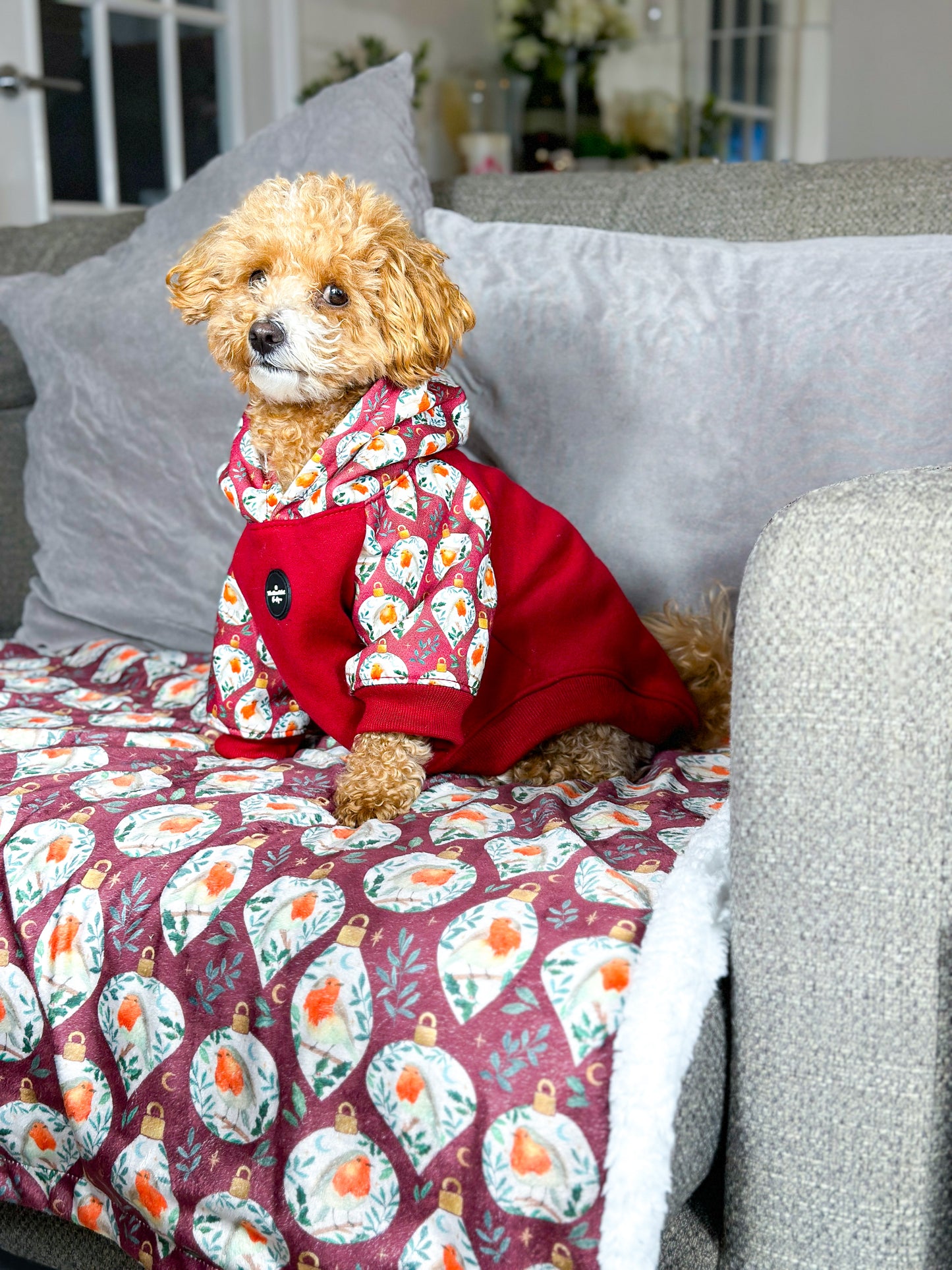 The Rockin' Robin Dog Hoodie