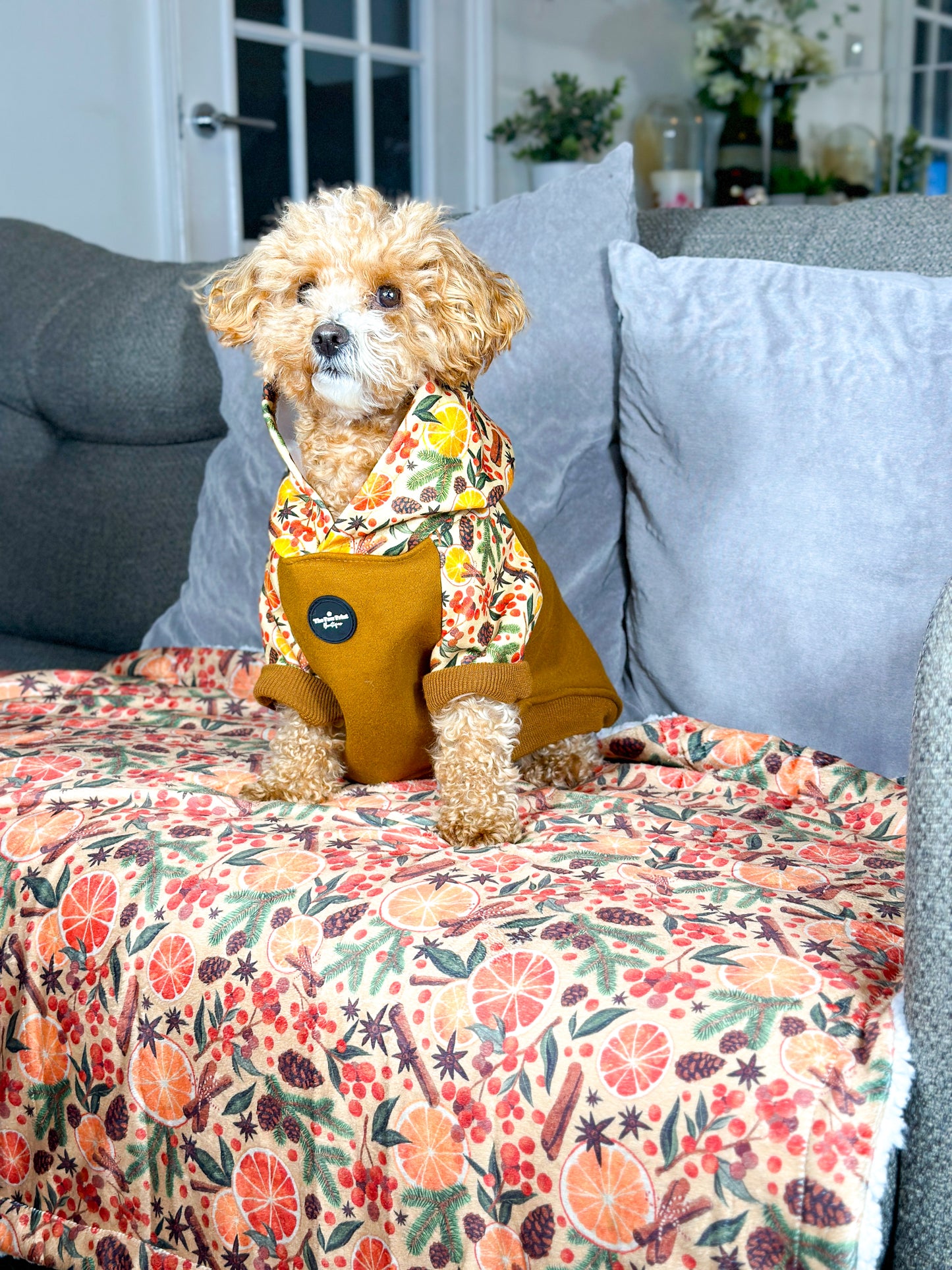 The Winter Scents Dog Hoodie