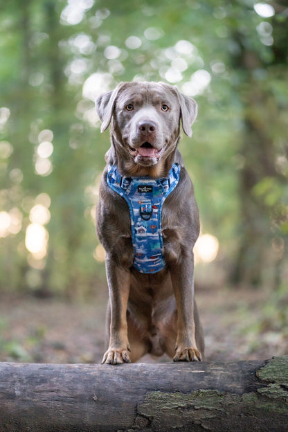 The North Pole Adventure Paws Harness