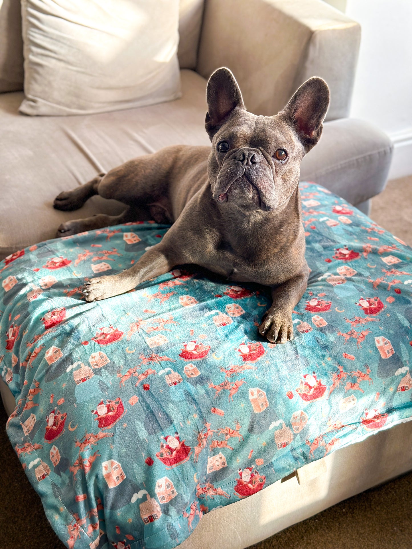 The Sleighing Santa Dog Blanket