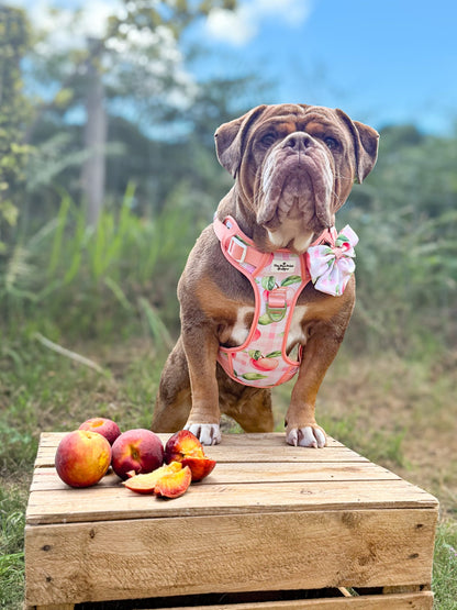 Peach Gingham Adventure Paws Harness