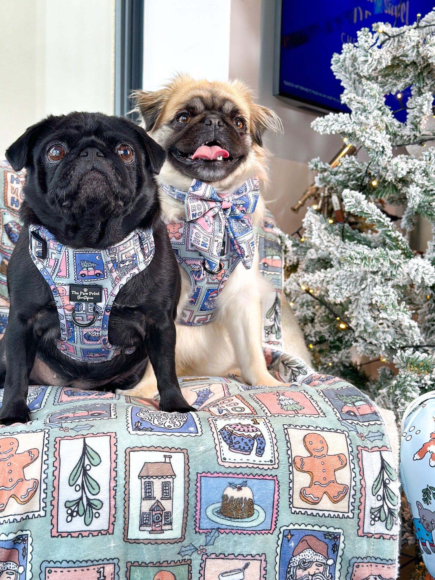 The Santas Stamps Adjustable Harness
