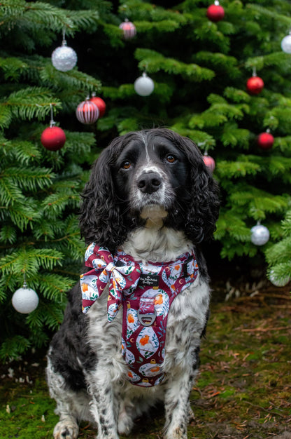 The Rockin' Robins Adventure Paws Harness
