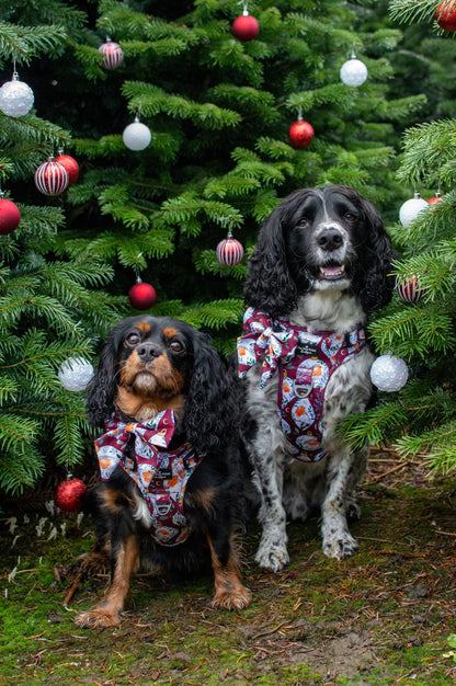 The Rockin' Robins Adventure Paws Harness
