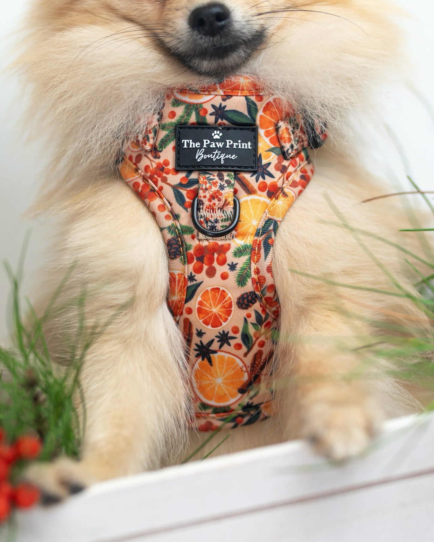 The Winter Scents Adjustable Harness