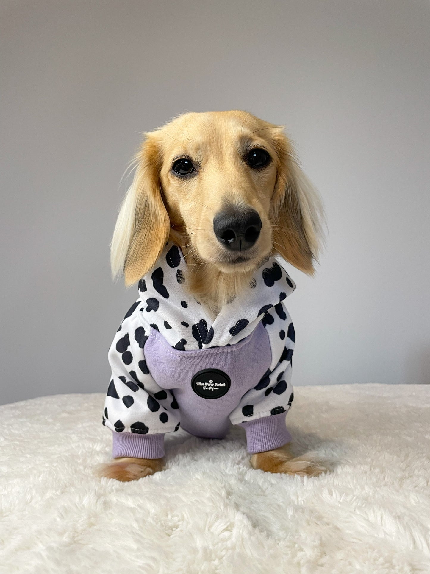 The Spots & Dots Dog Hoodie (Lilac)