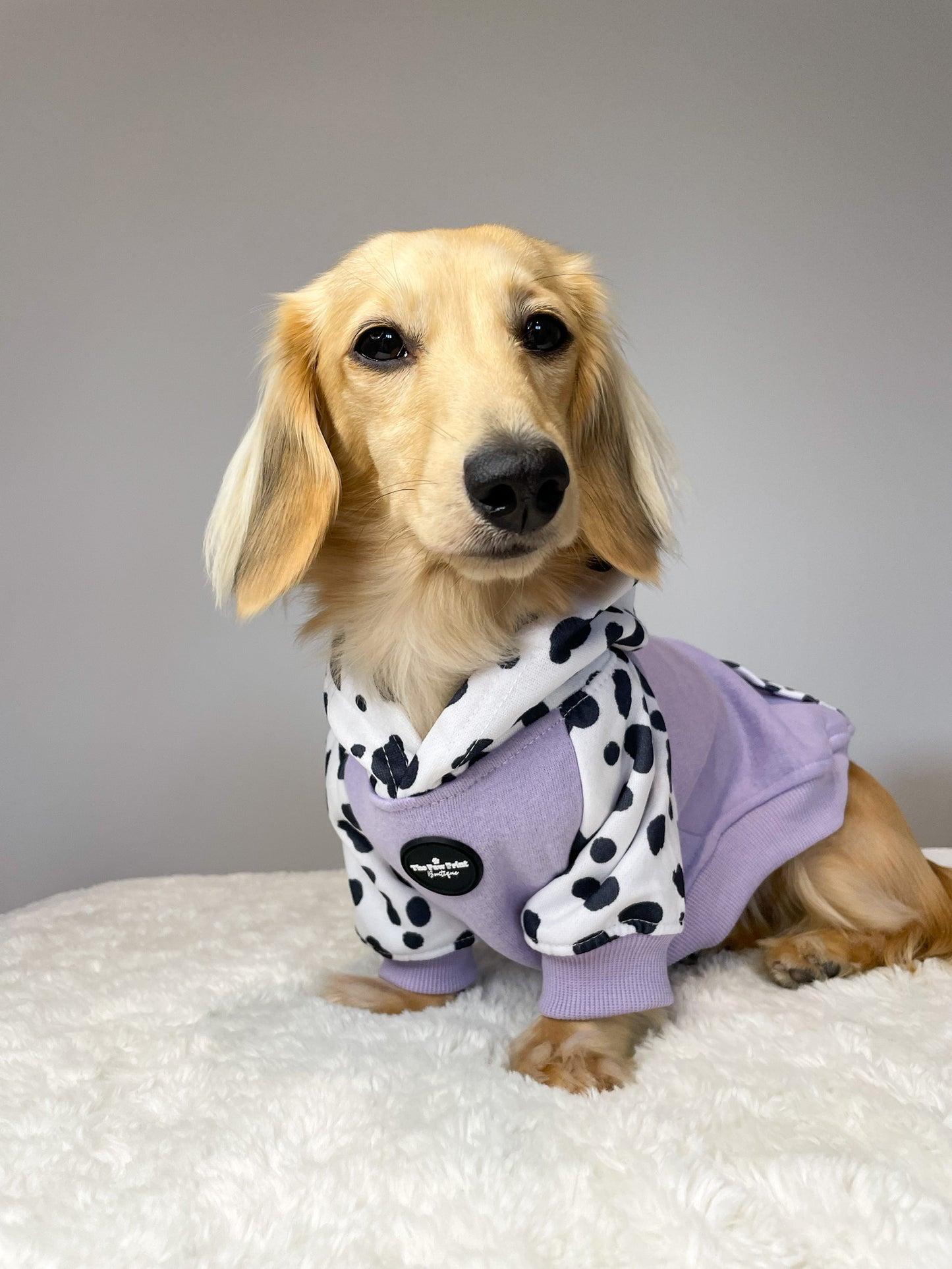 The Spots & Dots Dog Hoodie (Lilac)