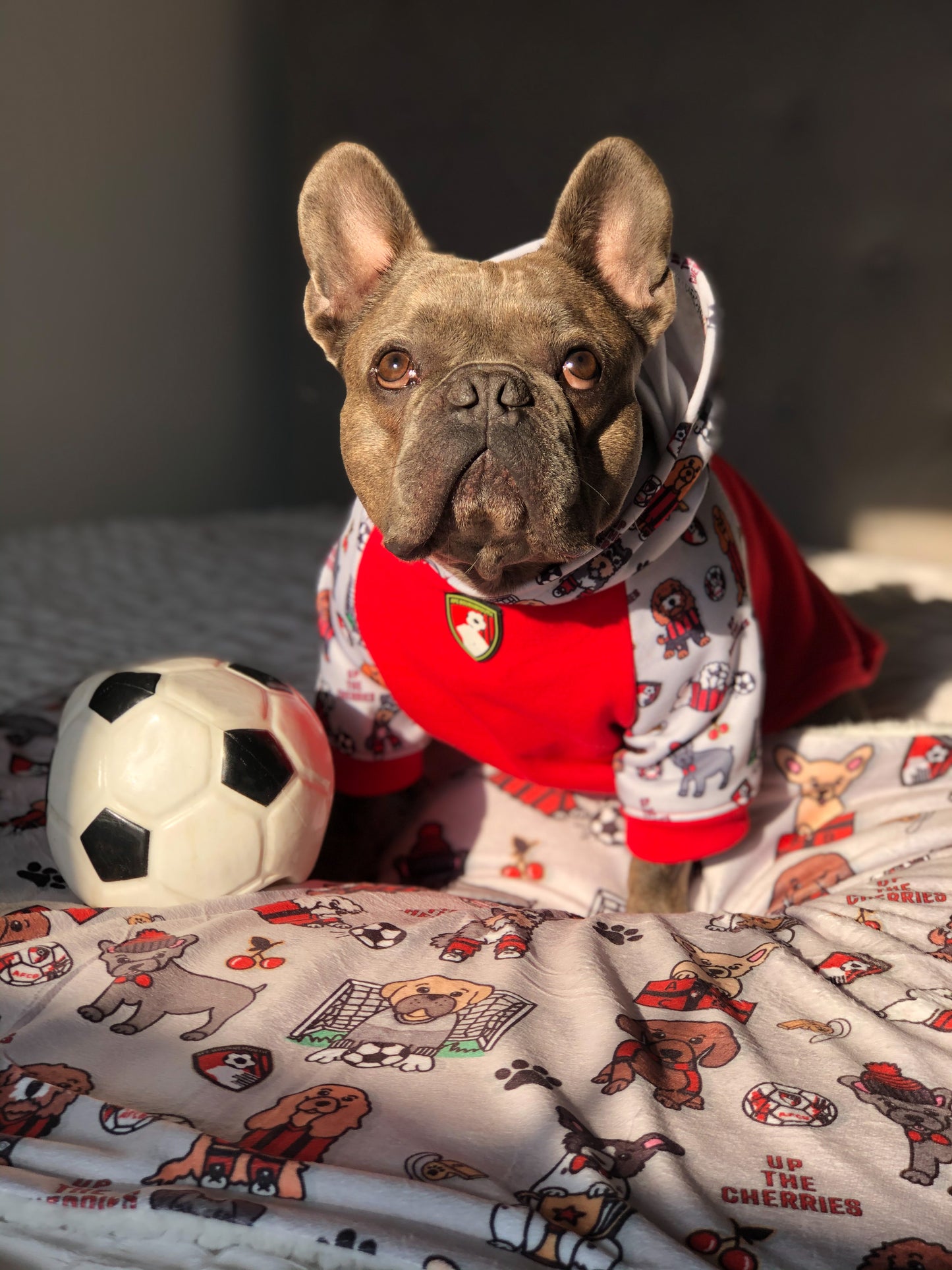 The AFC Bournemouth Dog Blanket