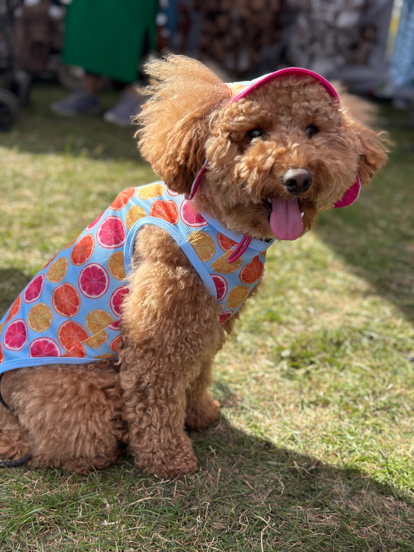 Squeeze the Day Cooling Vest