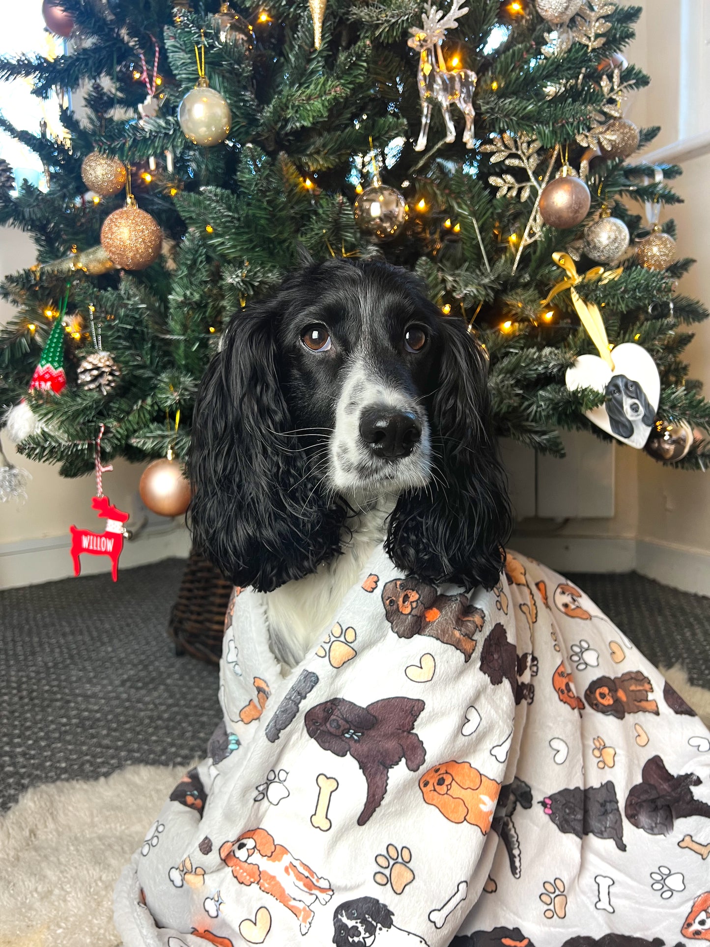 The Spaniel Dog Blanket - Grey