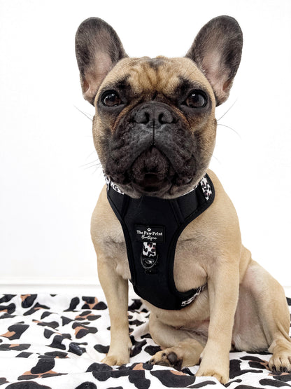 The Lavish Leopard Adventure Paws Harness