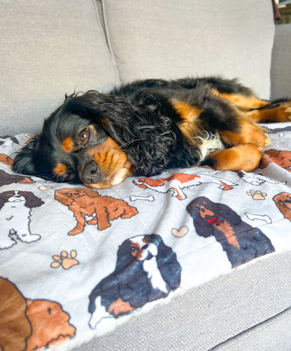 The Cavalier Dog Blanket - Grey