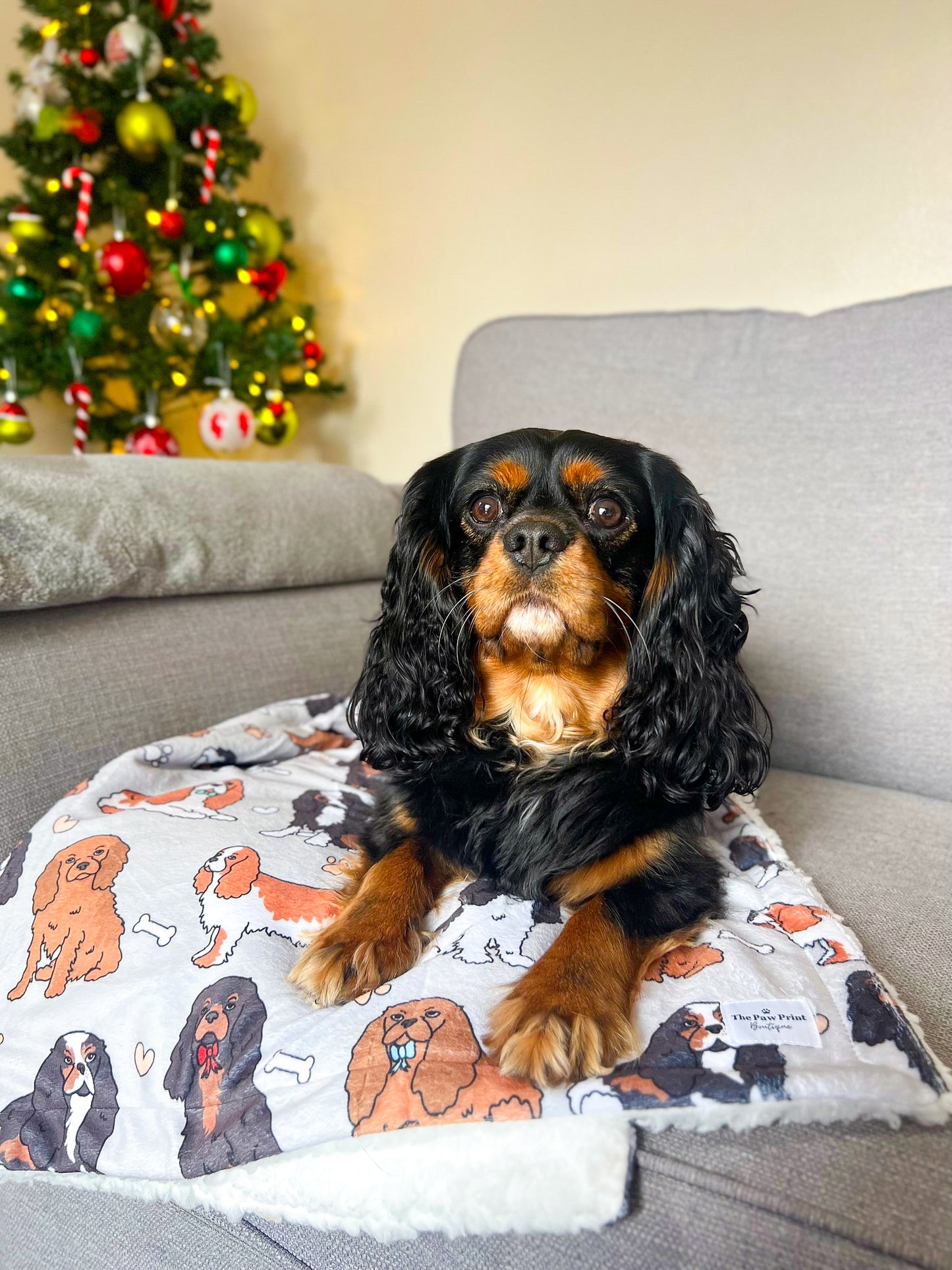 The Cavalier Dog Blanket - Grey