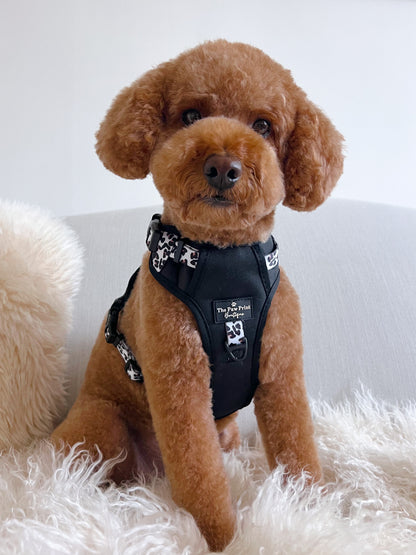 The Lavish Leopard Adventure Paws Harness