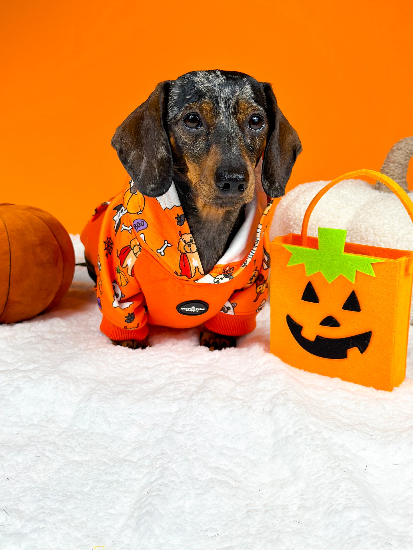 The Happy Howloween Hoodie (Orange)