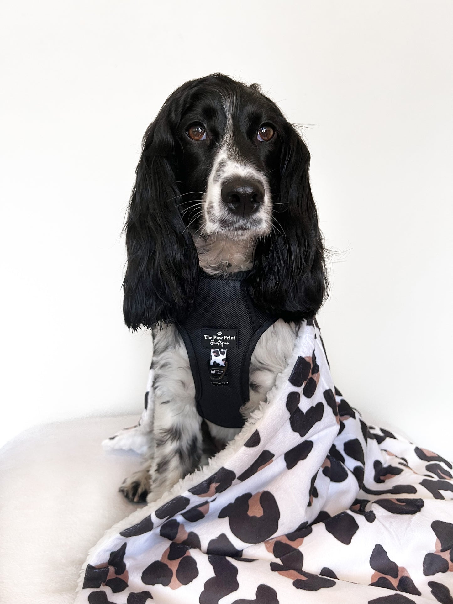The Lavish Leopard Adventure Paws Harness