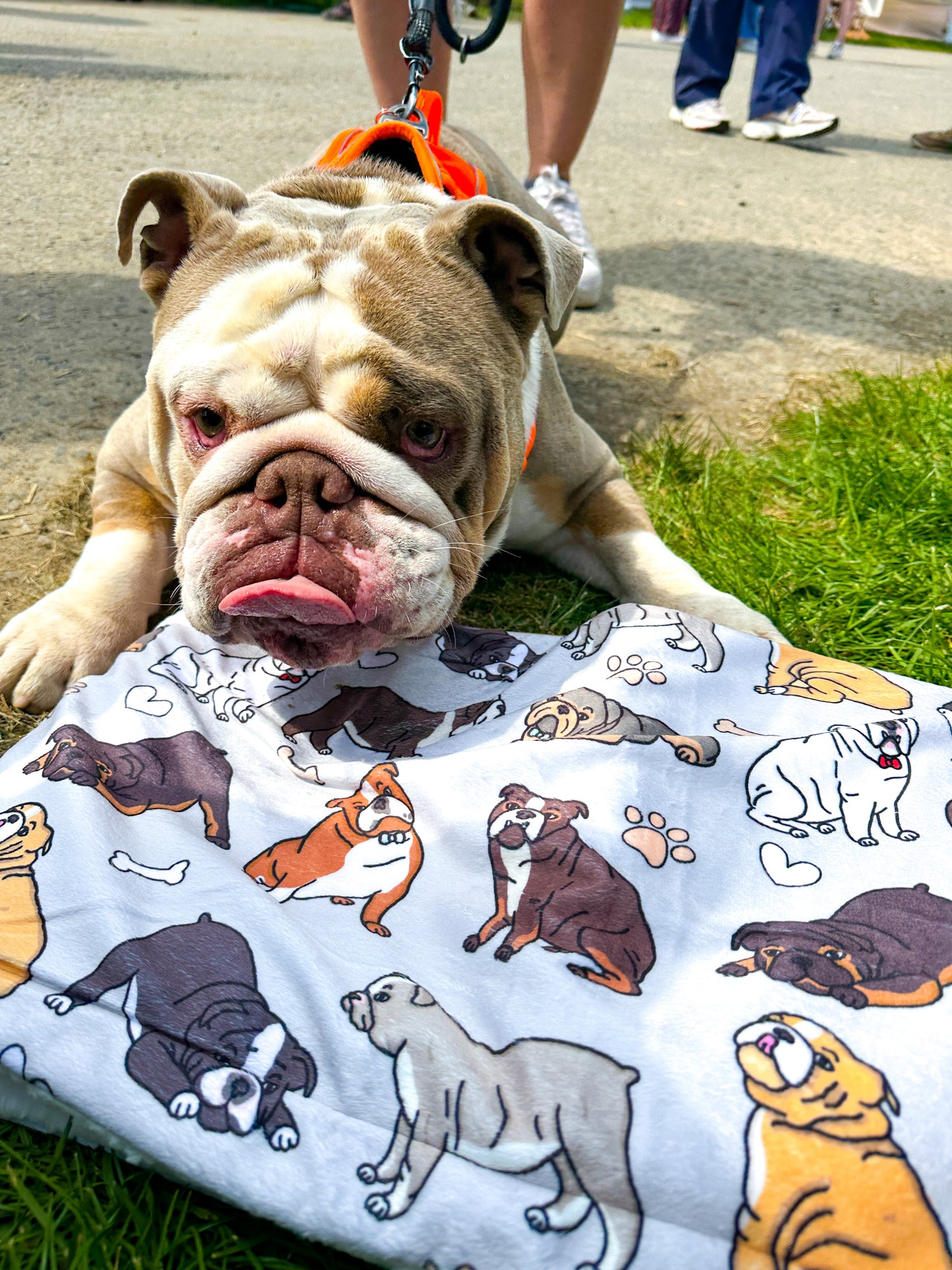The Bulldog Dog Blanket - Grey